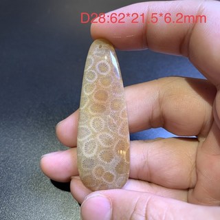 珊瑚玉菊花石吊墜 D28 全玉化透光 62*21.5*6.2mm