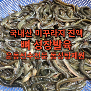 [동성탕제원] 운동선수 어린이 보양식 미꾸라지 진액 액기스 엑기스 120포 직접 제조, 120개