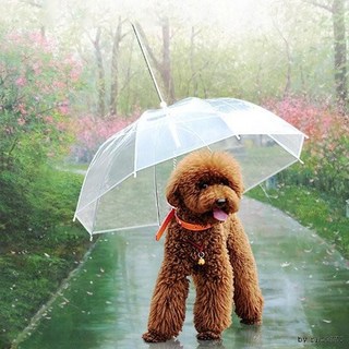 도그브렐라애견우산 강아지우산 강아지외출, 상세페이지 참조