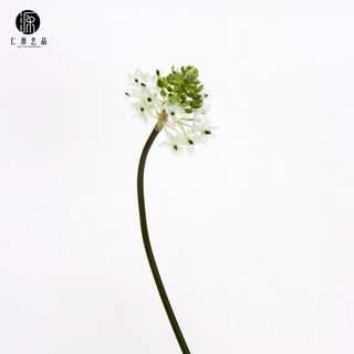 伯利恒之星天鵝絨仿真植物假花 布景插花裝飾小雀梅仿真花永生花人造花乾燥花永不凋零拍照道具假花裝飾居家裝飾, 白色-需預定, 1個