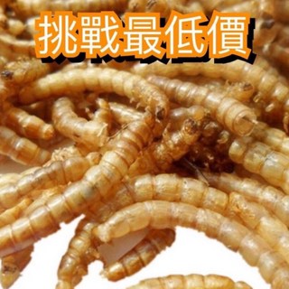 F邦邦水族 麵包蟲乾1kg 烏龜飼料 倉鼠飼料 刺蝟零食 蜜袋鼯零食 乾燥蟲乾, 1個, 1kg