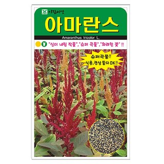 아람 아마란스 씨앗 4000립, 2개