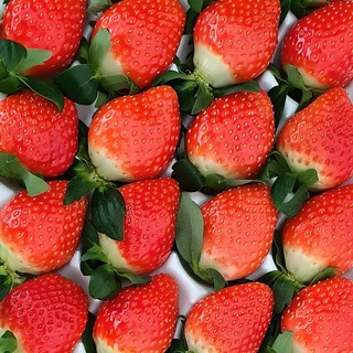 고당도 프리미엄 국산 설향 금실 홍희 킹스베리 생 딸기, 1개, 상 500g*1팩