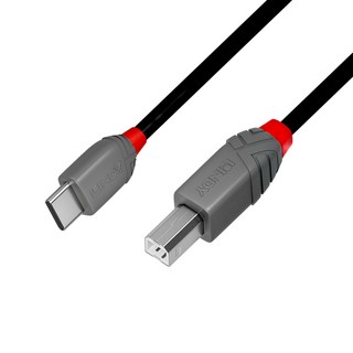 LINDY USB Type-C 轉 USB Type-B 2.0 轉接線, 36942 黑色, 1個, 2m