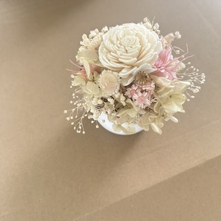 乾燥花裝飾, 白色索拉花