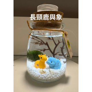 DIY 療癒景觀生態瓶 - 長頸鹿與象, 1個