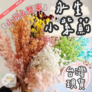 【璟采職人】60g永生小紫薊 刺芹 紫薊 情人果 乾燥花 乾燥果實 不凋花 永生花 居家佈置 乾燥花材 仿真花 捧花, 黃,60克/束(我已閱內文1-6點了解並同意