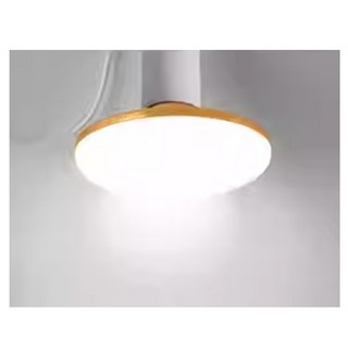 簡約木質LED吸頂燈 臥室客廳節能燈具, 40W 白光, 1個