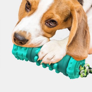 강아지 츄잉 이갈이 장난감, 1개, 스카이블루