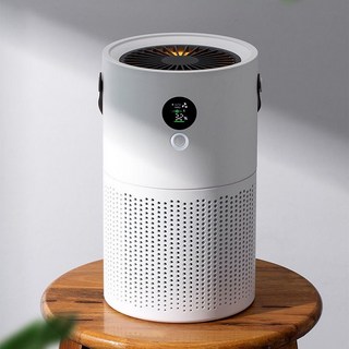 [음이온발생] 저소음 스마트 공기청정기 음이온 원룸 공기청정기 가정용 사무실용 초미세먼지 실내흡연 냄새제거, 흰색, AT-12