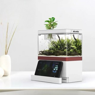 桌上型迷你魚缸 迷你缸 水族箱 3合一多功能魚缸 魚缸 迷你魚缸 桌上型魚缸 造景缸 風水缸, 紅,小（長19*寬9.5cm高21.5）, 1個