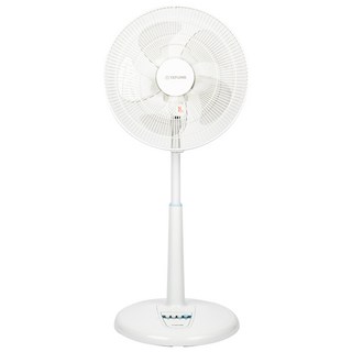 大同TATUNG 14吋AC直流立扇 TF-L14C5F 三段風速調整 高度自由調整