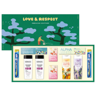 애경 다온 14호 선물세트 + 쇼핑백, 1세트