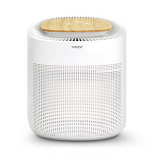 보아르 모아 M1000 미니 공기청정 제습기 소형 원룸 화장실 드레스룸 옷방 욕실, 모아M1000/ VO-DH002 D0002