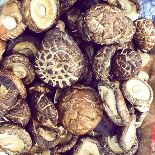 韓國產 特大茶花菇, 1個, 半斤/300g