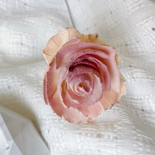 索拉波斯菊碎邊玫瑰斑駁玫瑰花束材料 主花擴香花通草花 DIY花藝材料包, 03, 1個