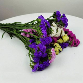 滿天星乾花花束 真花乾燥花藝 居家裝飾擺件 生日禮物 雲南風客廳擺設, 彩色滿天星-10支體驗裝