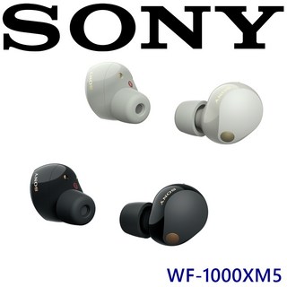 SONY WF-1000XM5 真無線藍牙耳機，降噪無線耳機，持久續航，舒適佩戴，多色可選, 白色