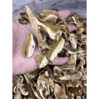 振新商行 牛肝菌菇 150克, 1個