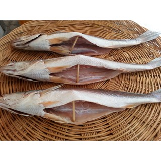 뾰족조기 41-42cm 3마리 제수용생선 말린생선 반건조생선 파는곳 싱싱수산, 2개