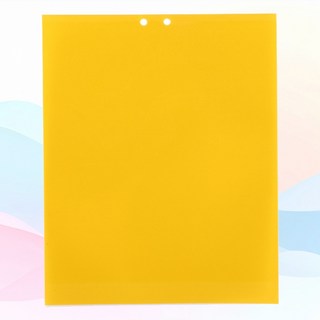 초강력 초파리 트랩 양면 끈끈이 날파리 퇴치 벌레, 소형2p