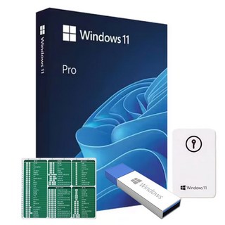 한국 MS 마이크로소프트 Windows11 Pro FPP USB 설치 영구사용 윈도우11 프로 Excel 단축키 마우스 패드
