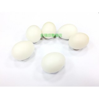 金瑞成鳥園- 鸚鵡假蛋/讓您的鳥寶不要再生蛋/各種鸚鵡尺寸, 1個, 雀鳥、虎皮尺寸3顆裝