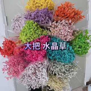 水晶草乾燥花束 (大把) 永生花材 DIY材料, 鮮豔色/白花,水晶草/小把/20克