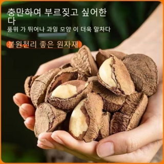 건강한간식브라질넛 아고티너트 구운너트 호주산 직수입 셀레늄 풍부 간편간식, 2개, 100g