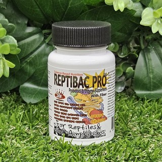 JIF 렙티박 프로 파충류 유산균 영양제, 1개