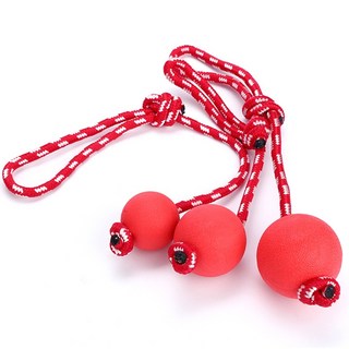 본사직판 망가지지 않는 고탄성 고무공 애견 씹는 놀이감 치아단련 치석제거, 1개