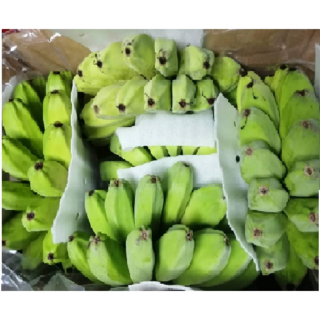 사바 바나나(Saba Bananan), 1박스, 10kg