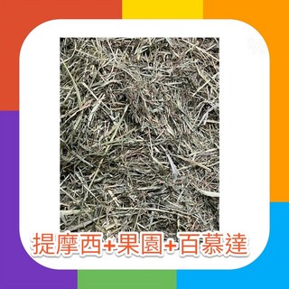 ※兔老爺※現貨快速出貨 (提摩西牧草 果園草 百慕達)500克 混合牧草 兔子牧草 天竺鼠牧草, 1個, (提摩西牧草+果園草+百慕達)500g