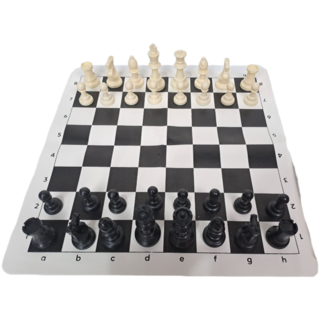 西洋棋 (雙皇后) / 可攜帶 / (王高9.5cm) /可正規比賽使用, 黑白色