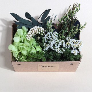 화연양화 꽃도시락 10종 프리저브드 드라이플라워 모음 DIY재료, 06 포레스트