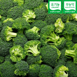 유기농 무농약 브로콜리 국내산 친환경 슈퍼푸드 저속노화, 1박스, 1kg