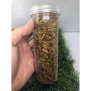 F邦邦水族 買十送一麵包蟲乾 刺蝟/倉鼠/黃金鼠/松鼠/寵物鼠/蜜袋鼯/爬蟲類/蜥蜴/鳥類/觀賞魚/兩棲爬蟲食用零食, 1個, 300ml(約50克)1罐 10送1, 300ml