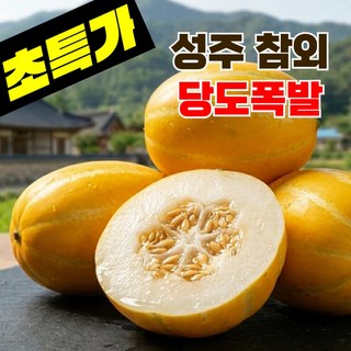 [재구매폭발] 100박스한정 초고당도 성주 참외, 1박스, 10kg