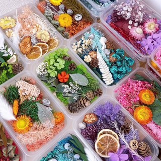 狐戀花 台灣現貨 電子發票 永生花材料包 DIY乾燥花 手工活動 花藝課 浮游 相框 貼畫 壓花, 桔色系材料包x1份(隨機款式),除了特別備註外都是1個的價格