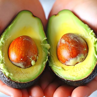 [만족도1위] 재구매율1위 아보카도, 1박스, 5과