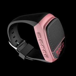 LG 엑스붐GO 무선 휴대용 PL2 강력한, B90 표시 장식 장미 금색 리더기, 패키지 3 32G 초원 800곡