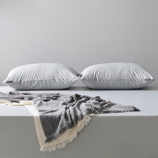 [파미지오] 진드기방지 안심방수 호텔 베개커버 40x60/50x70 2장세트