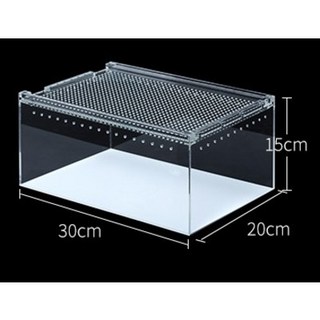 렙티주 파충류 아크릴케이스 30*20*15cm ACR01, 1개