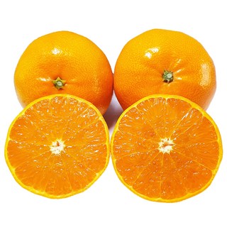 [맛없음반품] 새콤달콤 천혜향 산지직송 선물용 가정용, 가정용포장, 천혜향 소과 3kg(19과 이상), 1박스