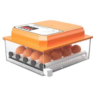 全自動智能孵蛋器 6枚雞蛋 5枚鴨蛋 3枚鵝蛋 12枚鴿子蛋 雙電配置 360°自動翻蛋 自帶照蛋 自動補水 自動控溫 滾軸可調, 1個