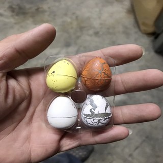 楨豐 孵化恐龍蛋 膨脹恐龍蛋 泡水恐龍蛋 嬰幼兒玩具 幼稚園禮物 兒童玩具 生日禮物 交換禮物 露營玩具 12入, 1個, 隨機一顆
