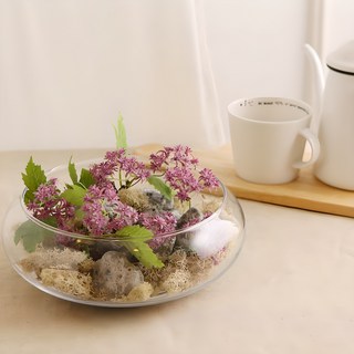 글라스코 유리 수반, 투명