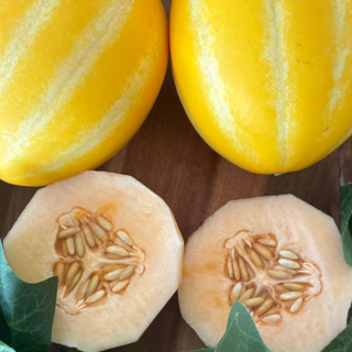 베타카로틴 참외 당일수확 달콤한 고당도 메론 참외 산지직송 겨울참외, 1박스, 3kg