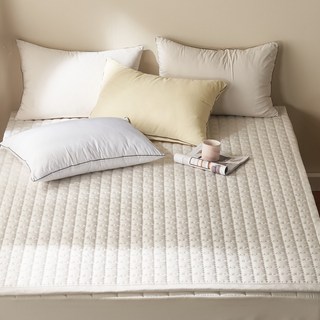 국내제조 띵스룸 알러지케어100% M2 진드기방지 사계절용 고정밴드 침대패드, 알러지100 베이지