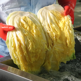 충북 괴산 절임배추 절인배추 국내산 천일염, 12월02일(화) 출발, 1박스, 10kg